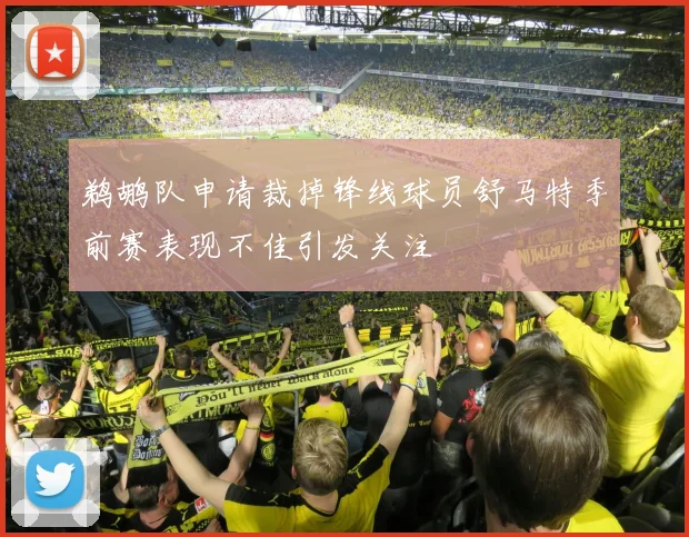 鹈鹕队申请裁掉锋线球员舒马特季前赛表现不佳引发关注