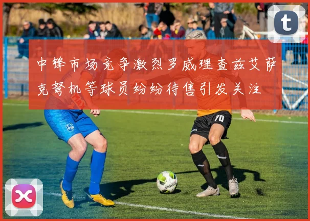 中锋市场竞争激烈罗威理查兹艾萨克弩机等球员纷纷待售引发关注