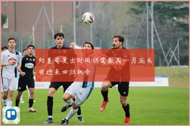 约基奇复出时间仍需数周一月底或将迎来回归机会