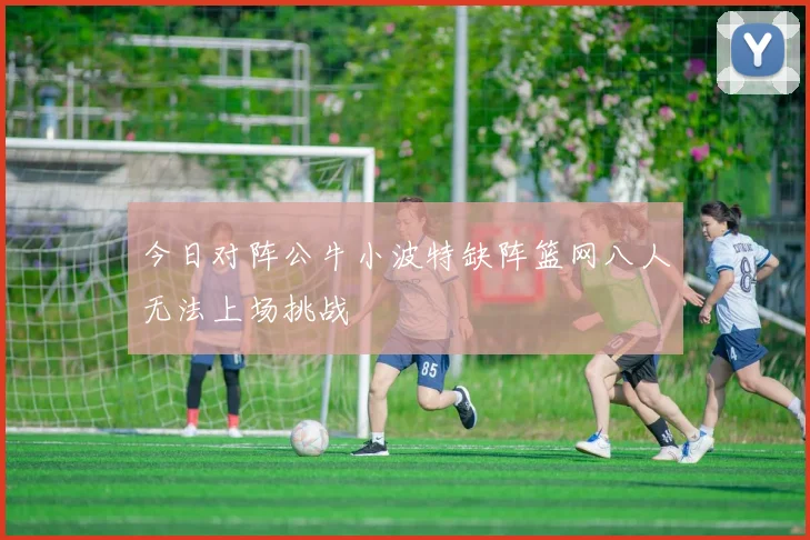 今日对阵公牛小波特缺阵篮网八人无法上场挑战